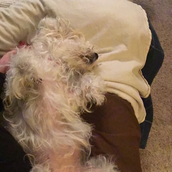 Meet your Posher, Melissa - Picture 3 of 4